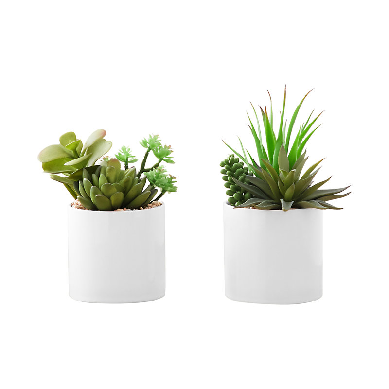Faux Plant