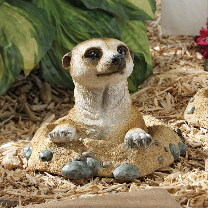 Statue suricate hors du trou Kalahari