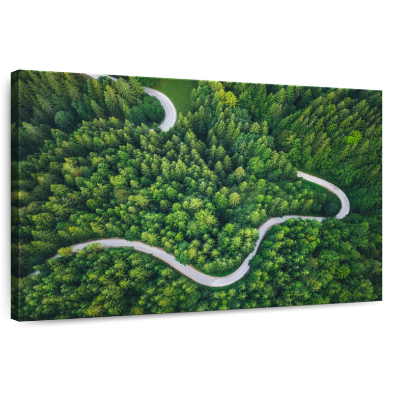Alvord Winding Pine Forest Road, H 8 po x l 12 po