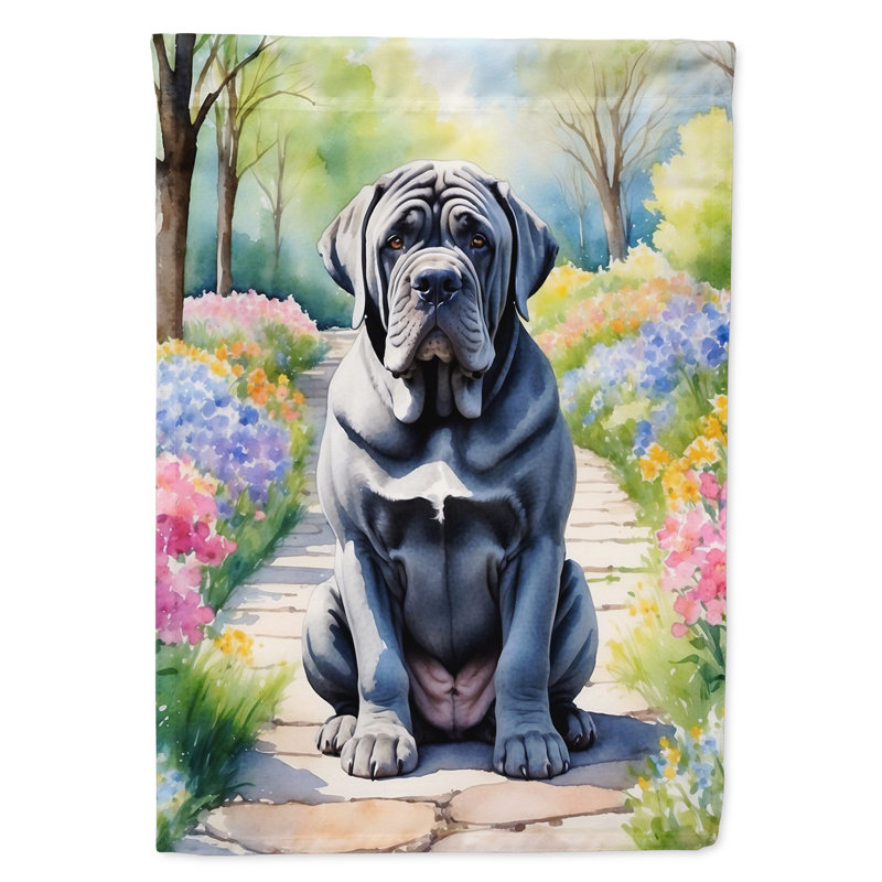 Taquia Double Sided 40'' H x 28'' W Polyester House Flag