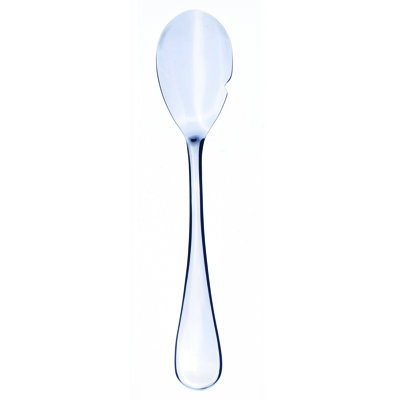 Brescia Stainless Steel Tasting Spoon
