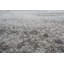 Galal Abstract Area Rug-514817915