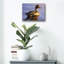 «Lone Pintail» par Mark Mueller, art animalier-101650932