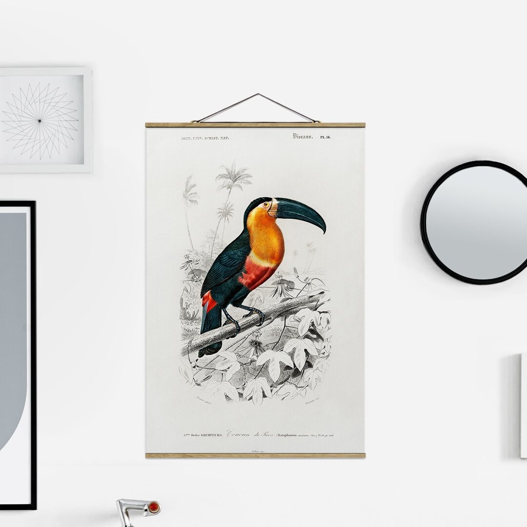 Stoffbild Vintage Teaching Board Toucan