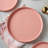Xander 6-Piece Dinner Plate Set Porcelain-70055962