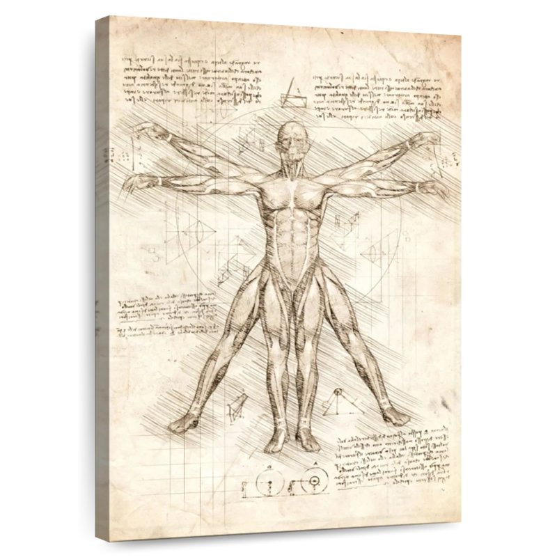 Keiri Vitruvian Man, 30" H x 20" W