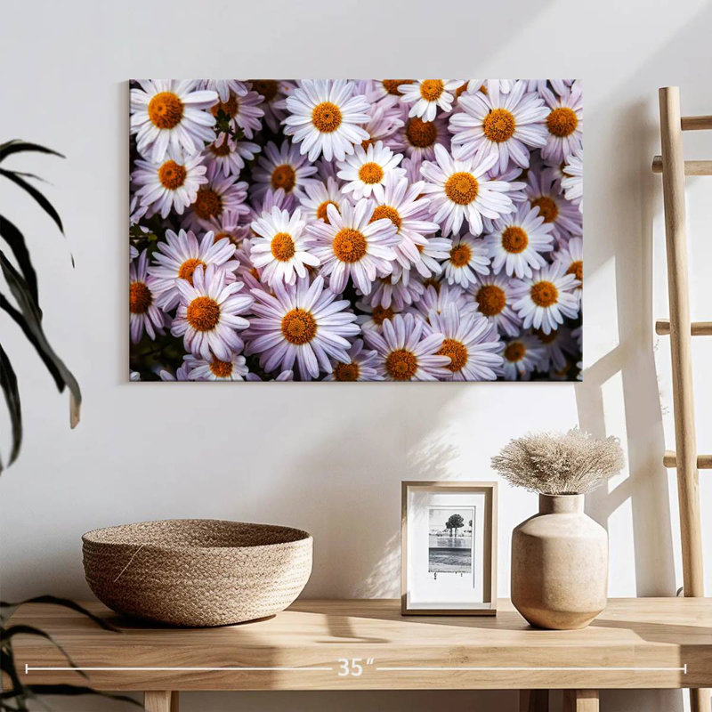 Harnek Shasta Daisies, 16" H x 24" W