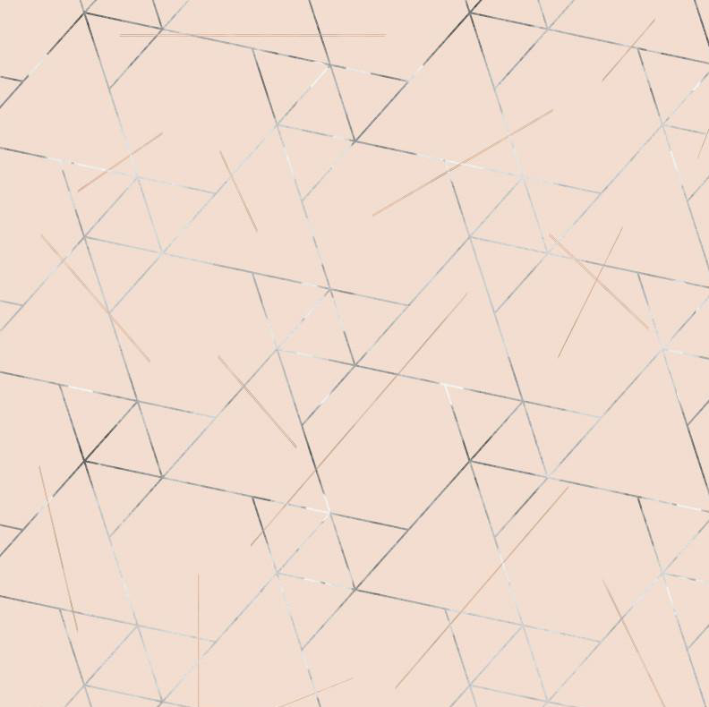 Geometric Peel & Stick Wallpaper Roll by Jamie Graney, Rose/Silver Leaf