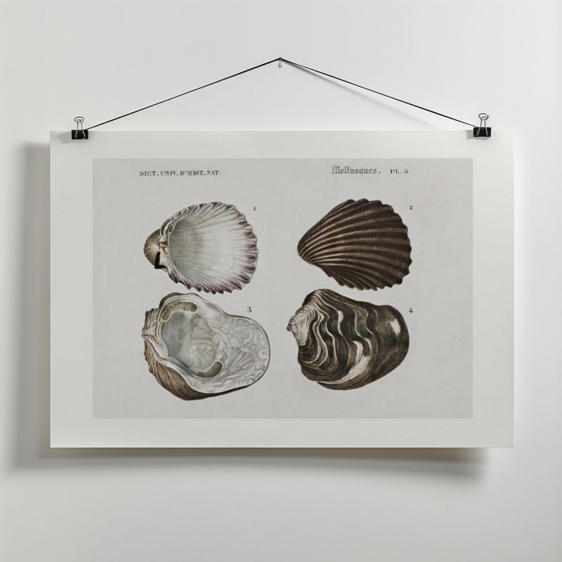 Wrapped Canvas Print, 50.8 cm H x 76.2 cm W
