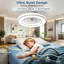 Ceiling Fan