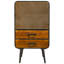 Bhandary Iron 1 - Door Rectangle Accent Cabinet
