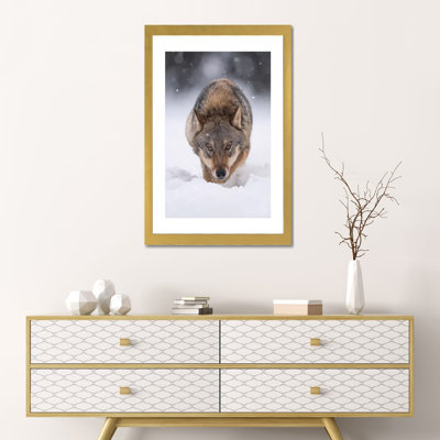 Wolf Hunting in the Snow by Dick van Duijn  Photograph Print