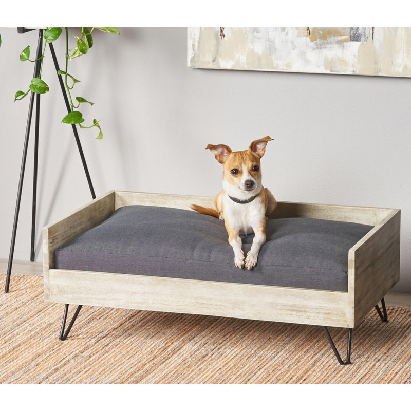 Lits pour chien de taille moyenne Mid-Century Modern Acacia Wood