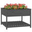 Aalap Wood Raised Garden Bed-1019041427-1019041434