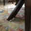 Customer photo 3 of 6