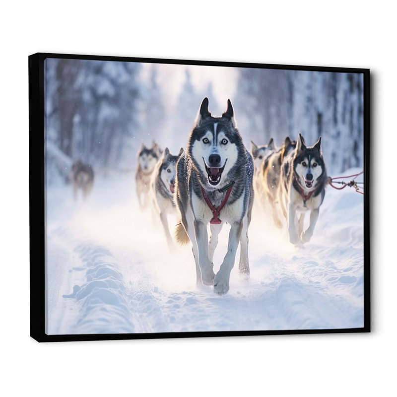 «Alaska Dog Sledding II», reproduction sur toile, H 30 po x l 40 po x P 1,5 po, Toile noire