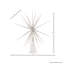 Starburst Tree Topper-233871138