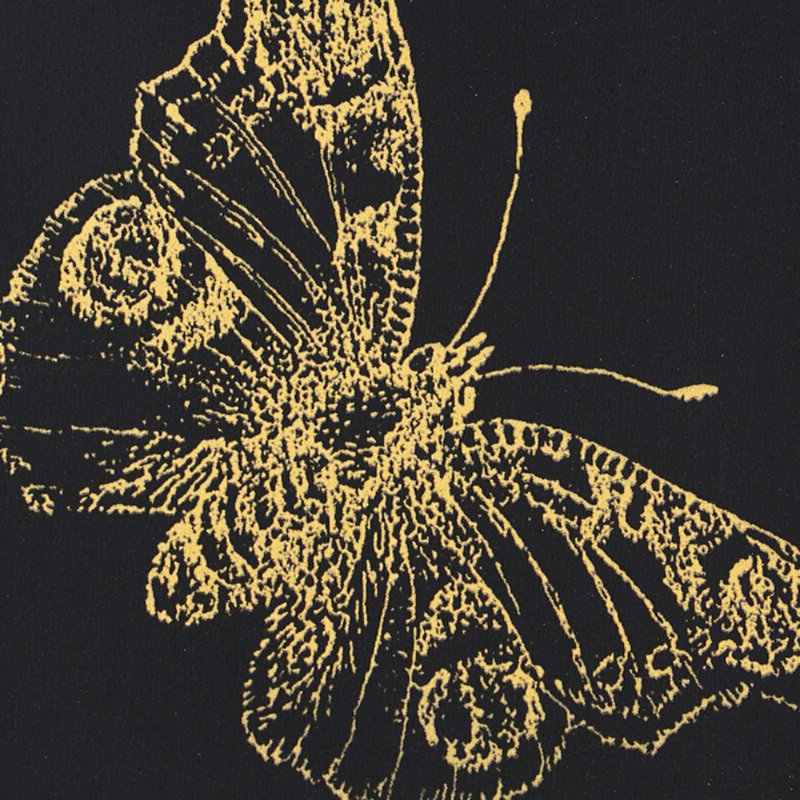 Papier peint Burnell Butterfly, Noir