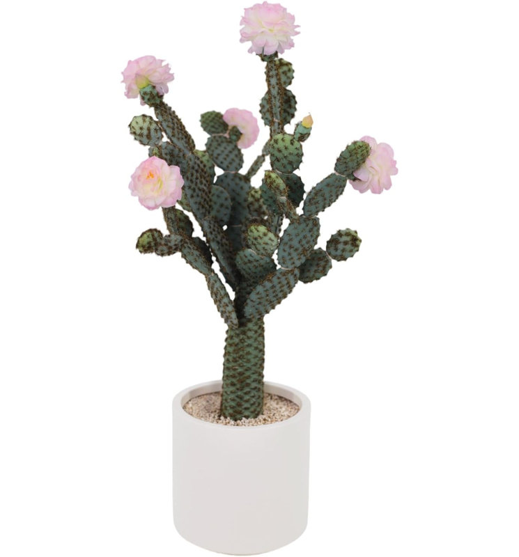 Arrangement