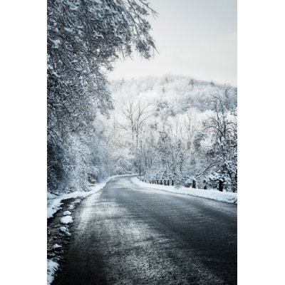 Winter Forest - Wrapped Canvas Print