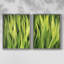 «Blades of Grass I», reproduction encadrée de qualité supérieure - prête à être accrochée - aucun clou requis - aucun clou requis-922319298-922319161