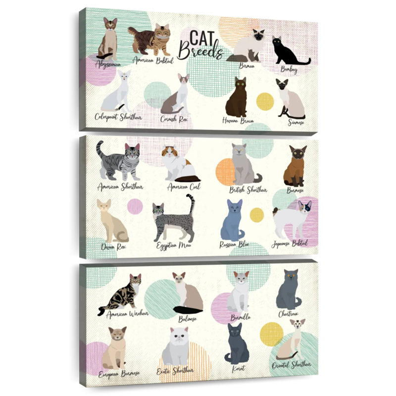 Brampt Cat Breeds Chart, 74" H x 48" W