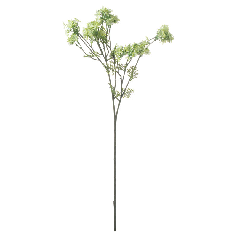 Plum Arrangement