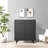 Modern Simple Shoe Cabinet Side Cabinet 25 Pair Shoe Storage Cabinet