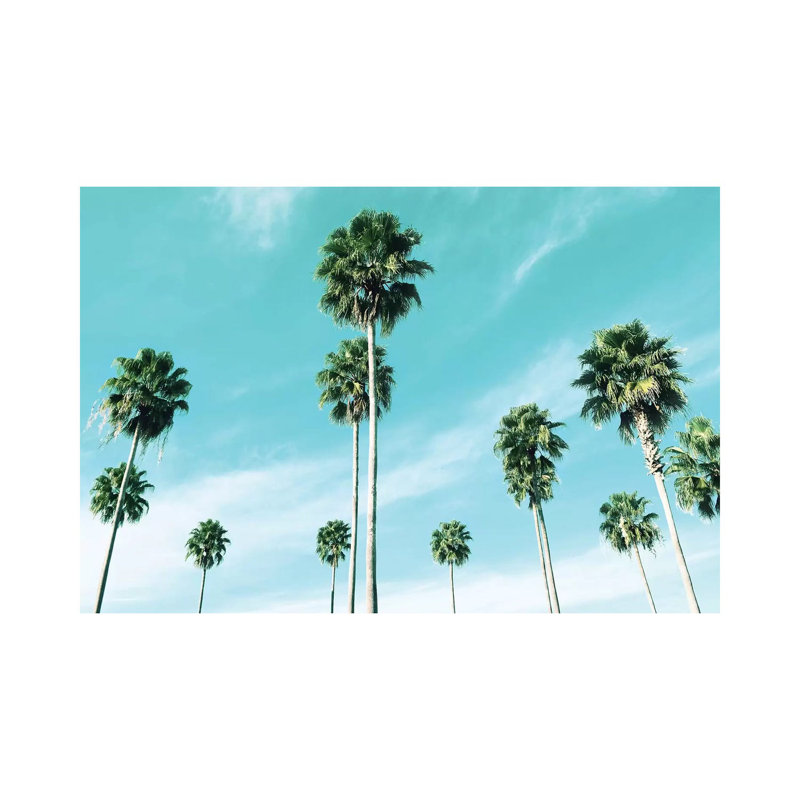 East Coast Palms by Natalie Carpentieri - Wrapped Canvas Print, 20.32 cm H x 30.48 cm W