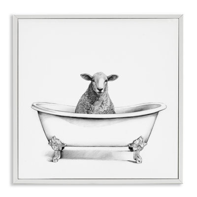Mouton laineux dans la baignoire