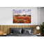 Blaze of Poppies - Artist Enhanced Canvas Print-2020917552-2144056246