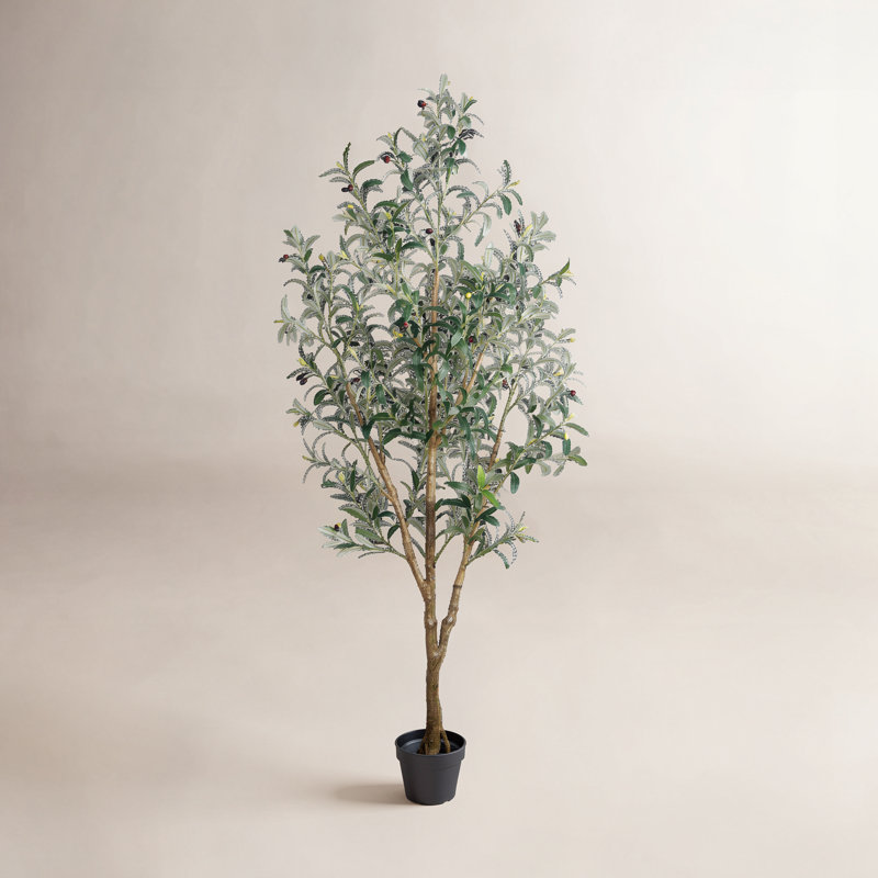 6FT Faux Olive Tree With Fruit And Realistic Leaves For Home Decor, 72.83" H x 27.56" W x 27.56" D