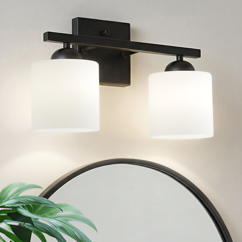 2-Light Bathroom Vanity Light Fixture with Opal Glass Shades, Matte Black, 2