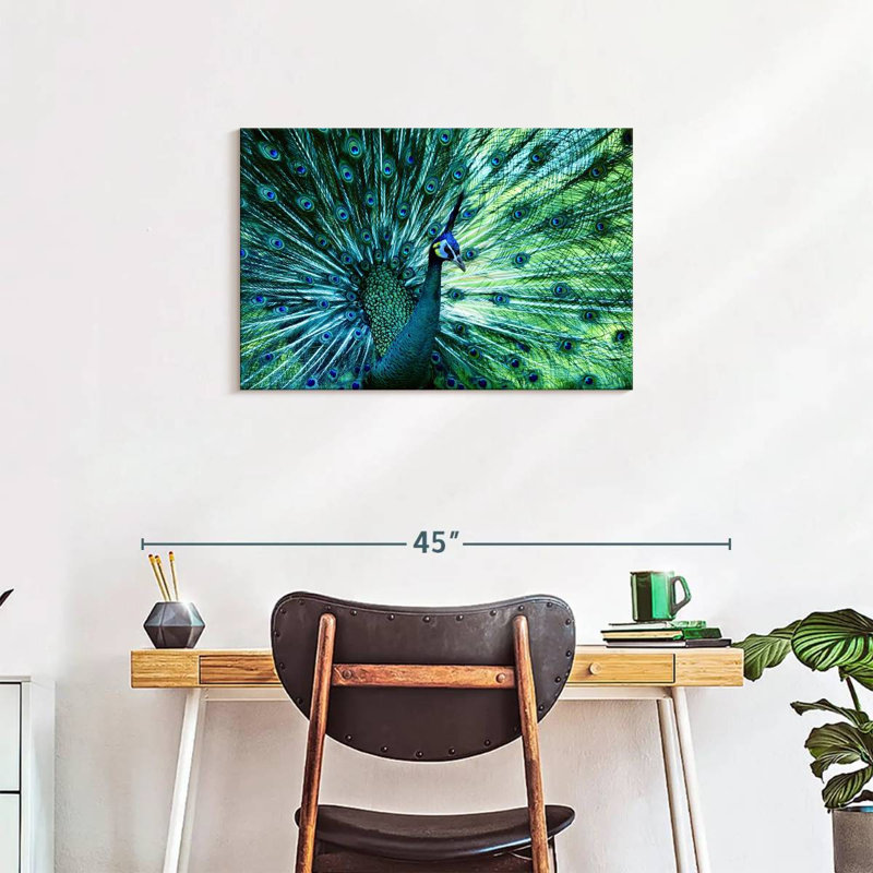Elegant Peacock, 20" H x 30" W