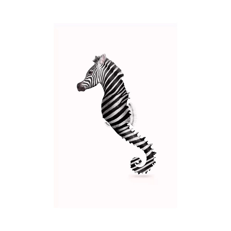 Zeahorse by Jonas Loose - Wrapped Canvas Print, 20.32 cm H x 30.48 cm W