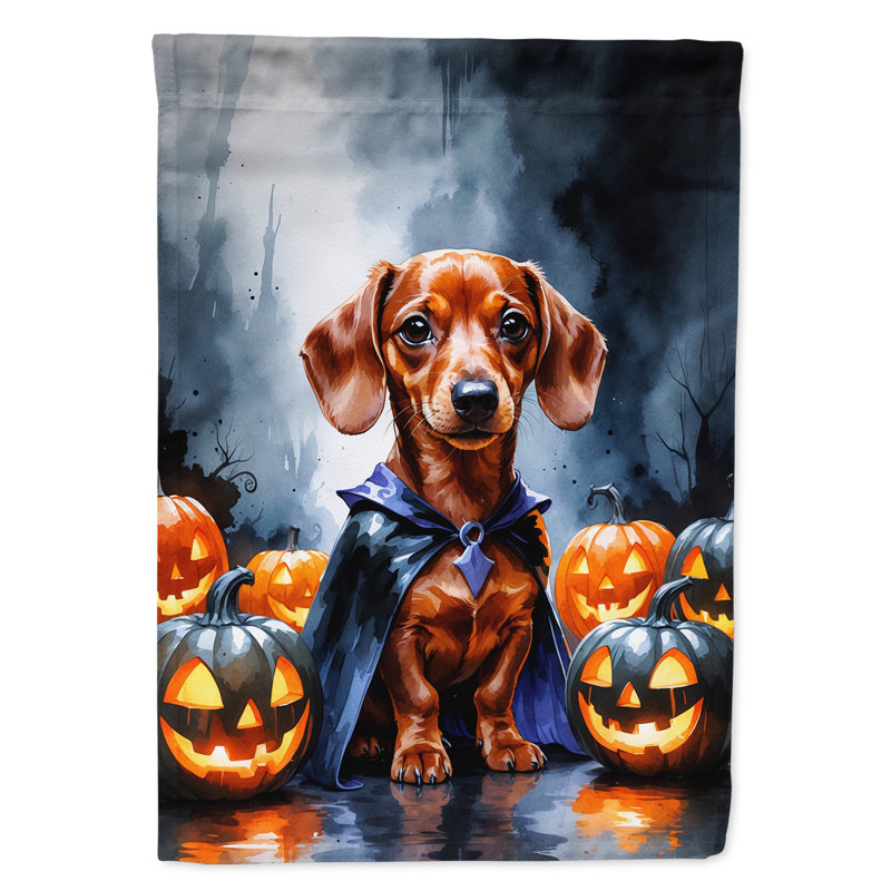 Drapeau de jardin chiot Halloween, Teckel rouge