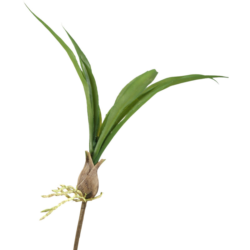 Orchidée, 14 po x 4 po x 4 po