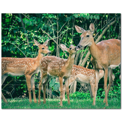 Deer Photo 8'' x 8'' Satin Ceramic Decorative Mural