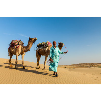 Camels In Dunes, Rajasthan by F9photos - Wrapped Canvas Print