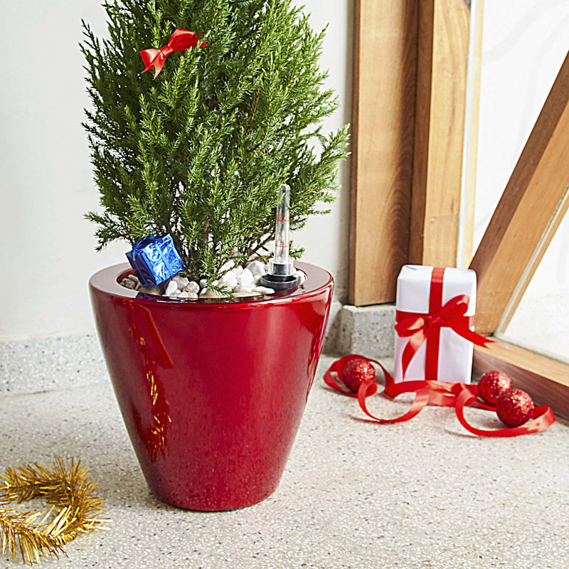 2-Pack Smart Self-watering Planter Pot, Red
