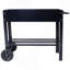 Jardinière mobile surélevée en métal avec roulettes et tablette de rangement inférieure, bac à fleurs ergonomique pour jardin et terrasse, noir