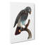 Grey Parrot Perched by F. Levaillant - Wrapped Canvas-55360331