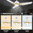3 - Blade LED Smart Ceiling Fan with Light-91062343-101830622