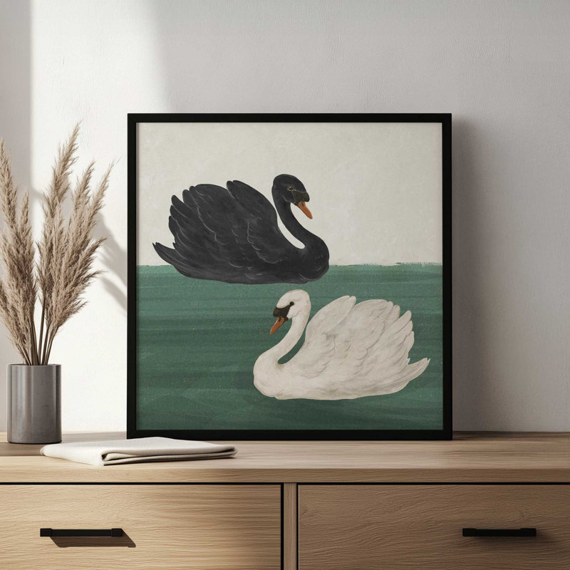 «Black Swan», reproduction d'art par Laura Graves, Black, 36" H x 36" W