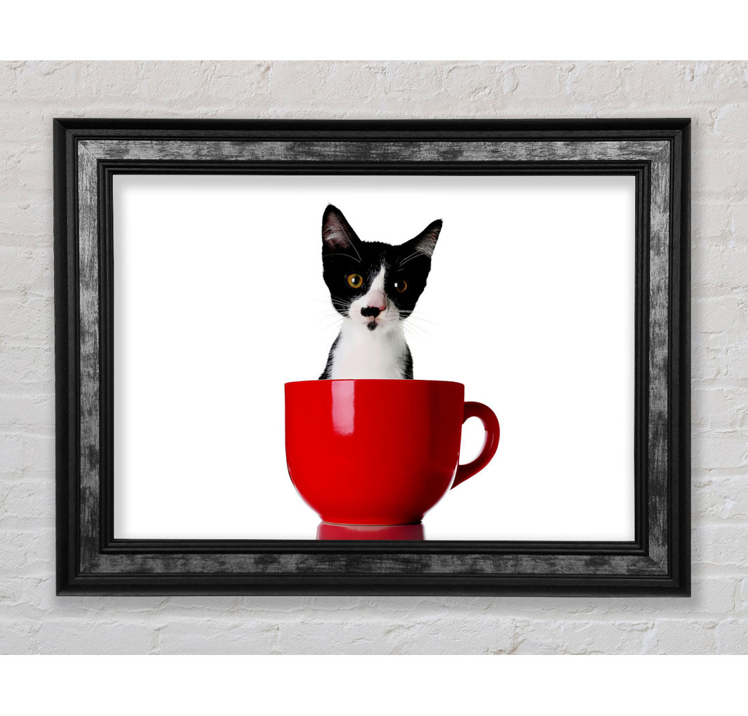 Katze in einer Teetasse - Einzelne Bilderrahmen Kunstdrucke