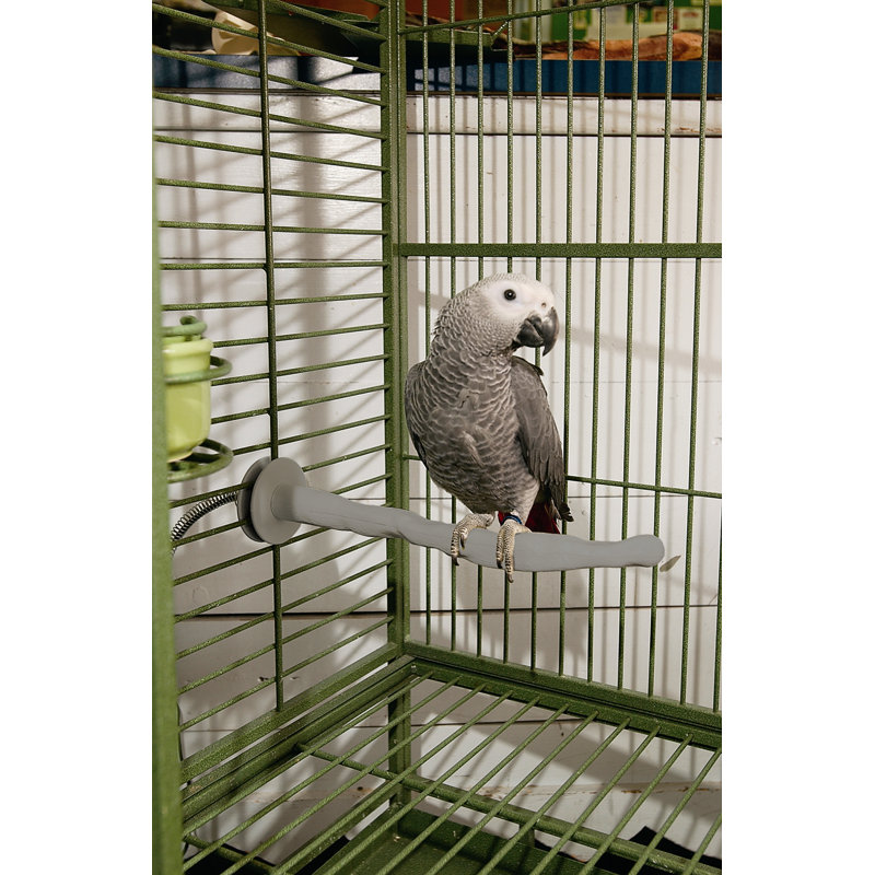 Metal Bird Perch for Inside Cage, Small (1" x 10.5")