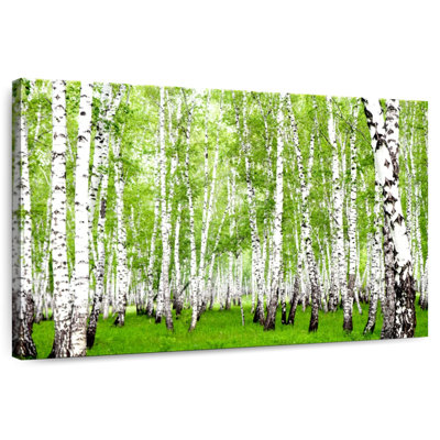 Harnek Green Birch Trees