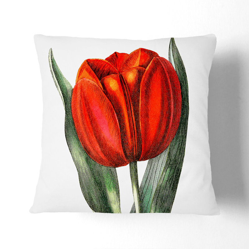 Square Throw Cushion, 55cm H x 55cm W x 20cm D