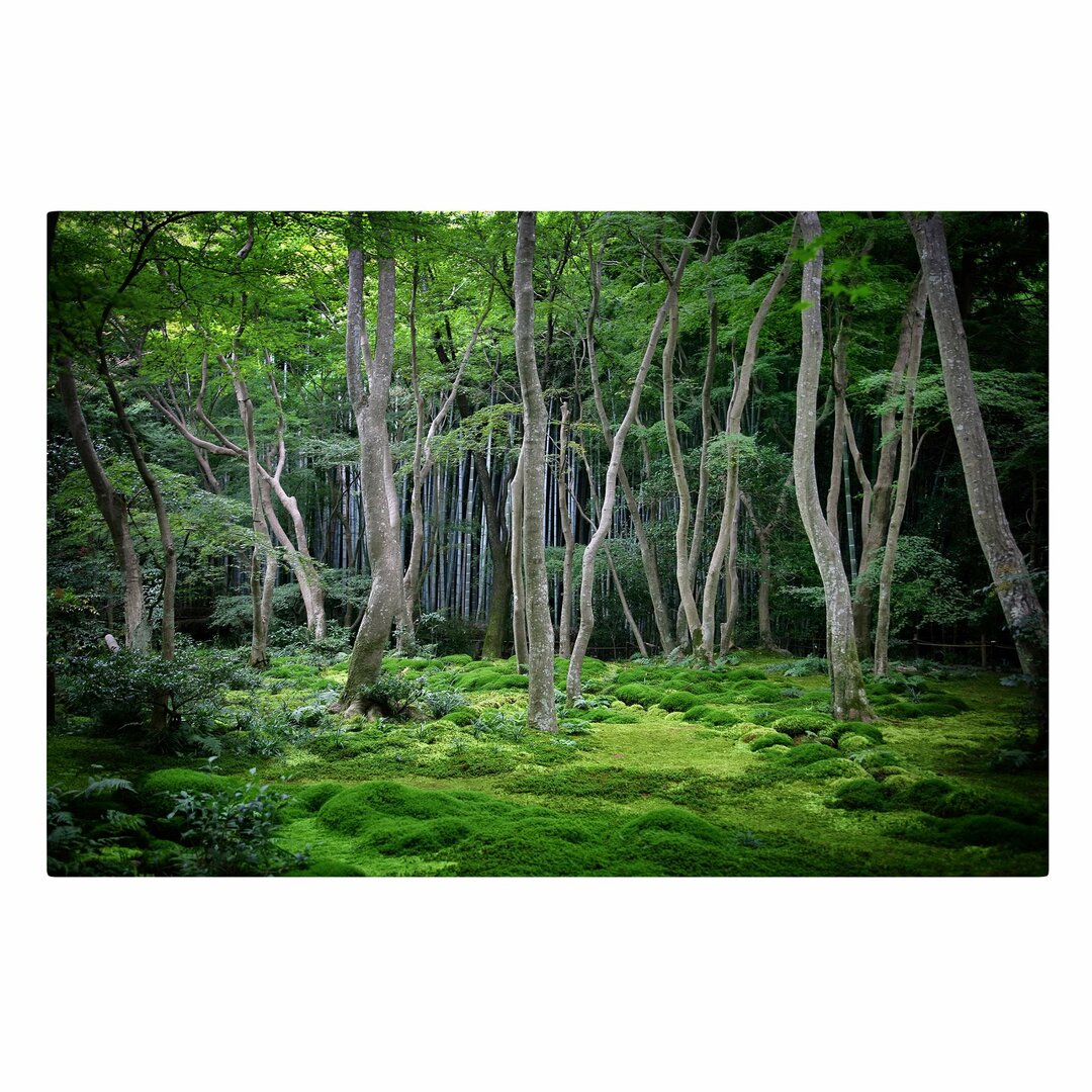 Leinwandbild Japanischer Wald