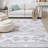 Rectangle Lataisha Geometric Machine Woven Microfiber Area Rug in Gray/White-220250225